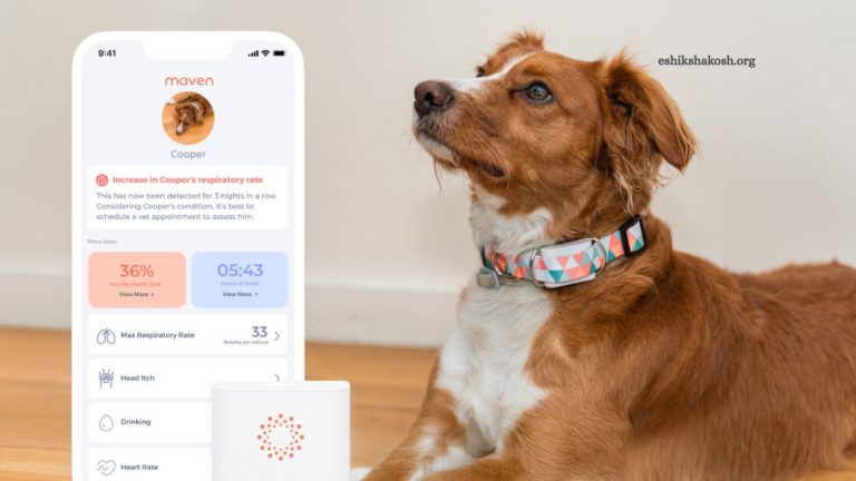 ZendogTech